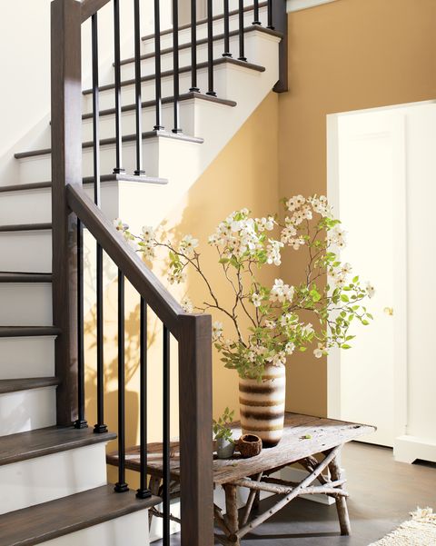 benjamin moore 2021 palette de tendances de couleurs