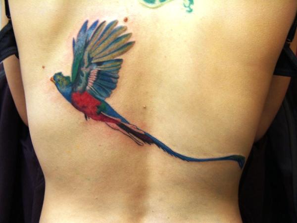 Tatouage Oiseau Quetzal