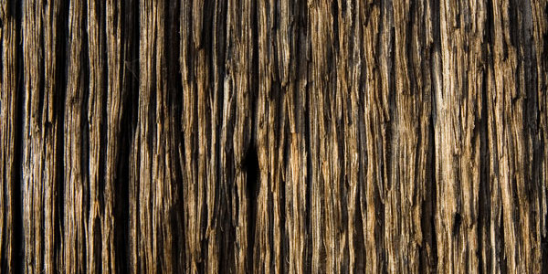 Texture du bois