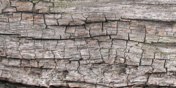 Υφή παλιού ξύλου 3