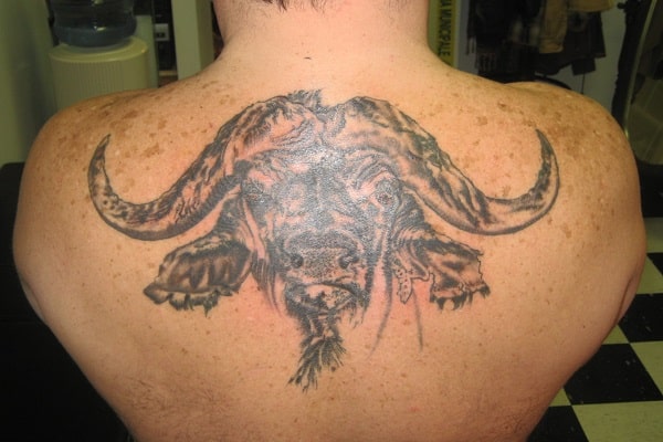 Τατουάζ Cape Buffalo Back