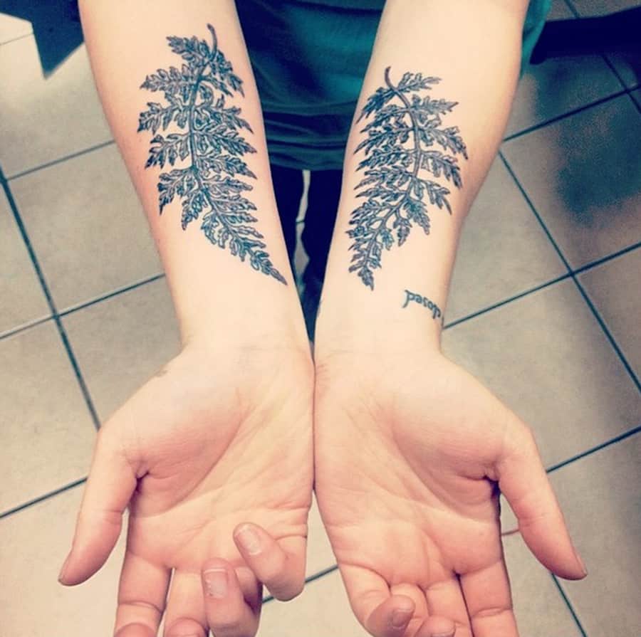 avant-bras-fougère-tatouage