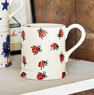 Emma Bridgewater Insects Ladybird Mug