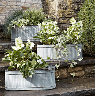 Τρεις Oval Trough Planters