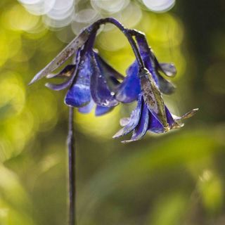 Sculpture de jardin en métal recyclé à la main Bluebell