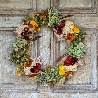 La couronne de fleurs séchées de Clodack