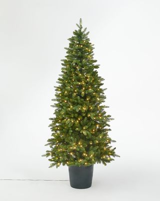 עץ עצי חג המולד מואר עם באלה הירוק, 7 רגל