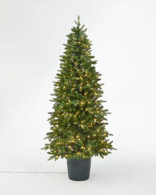 Χριστουγεννιάτικο δέντρο με πράσινο δοχείο, αναμμένο, 7 πόδια