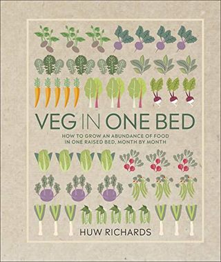 צמח במיטה אחת: כיצד לגדל שפע של מזון במיטה מוגדלת אחת לחודש