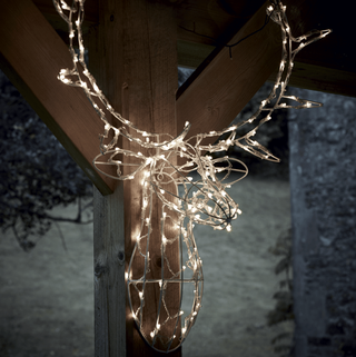 Magical Light Up Deer Head