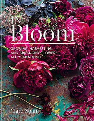 Στο Bloom: Καλλιέργεια, συγκομιδή και τακτοποίηση λουλουδιών όλο το χρόνο