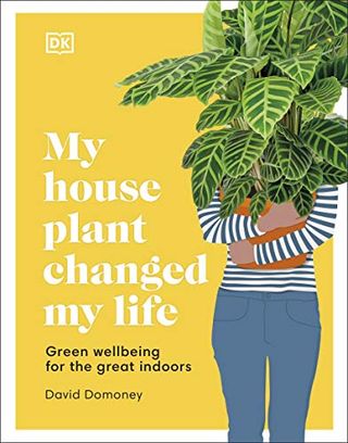 צמח הבית שלי שינה את חיי: רווחה ירוקה עבור הגדולים בבית