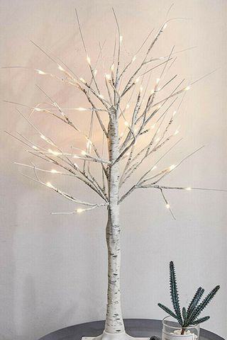 עץ לבן ליבנה של עץ פסחא חם, 4.98 ליש
