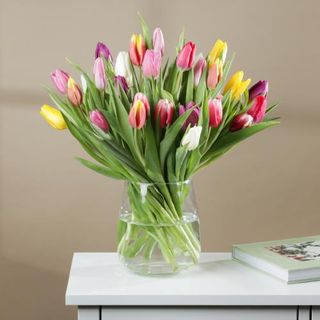 Les tulipes mixtes printanières