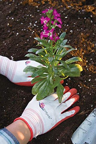 Gants de jardinage