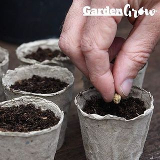 Pots de culture en fibre Garden Grow