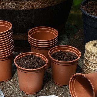 Pots de culture de couleur teracotta