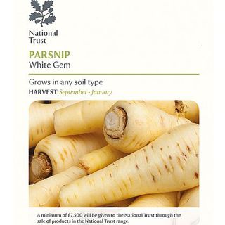 Parsnip 