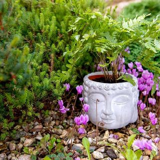 Pot de fleur de Bouddha