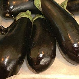 Graines d'aubergines