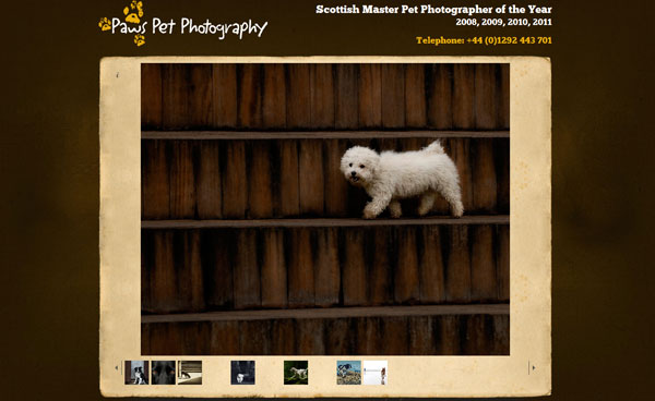 Paws Pet Photography