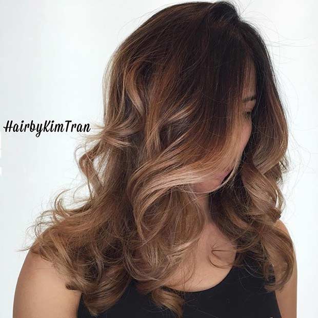 Honey Blonde Balayage Highlights for Brunettes