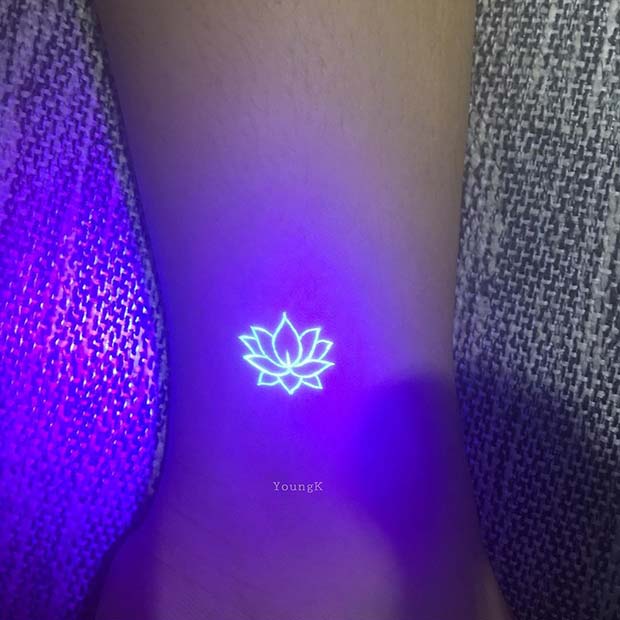 Lotus rougeoyant délicat