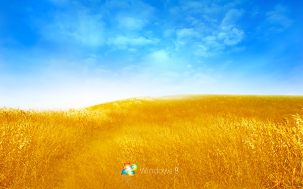 שולחן העבודה של Windows 8 Bliss