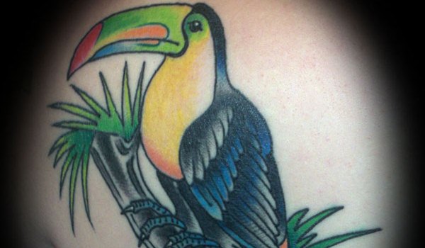 Toucan Tattoo