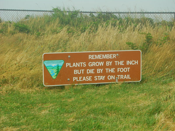 Message amusant pour la préservation des plantes
