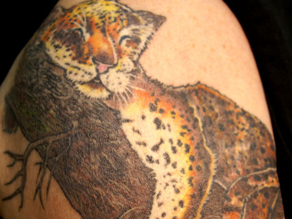 Sleeping Leopard Tattoo