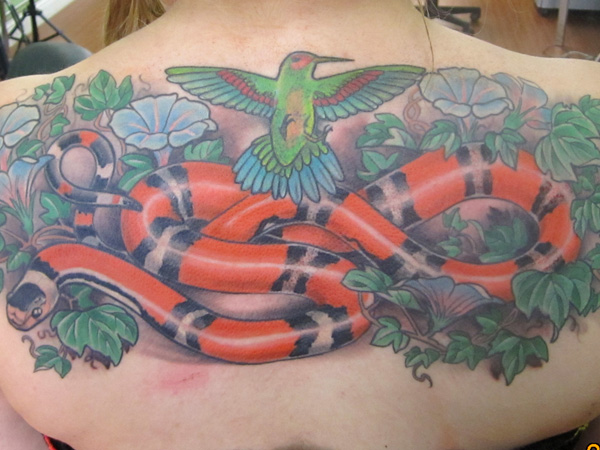 Le Serpent &AMP ; le tatouage d'oiseau