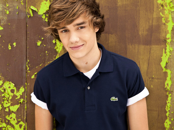 Liam Payne Sailor Inspiration