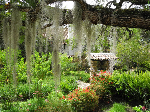 Jardin Patio IE