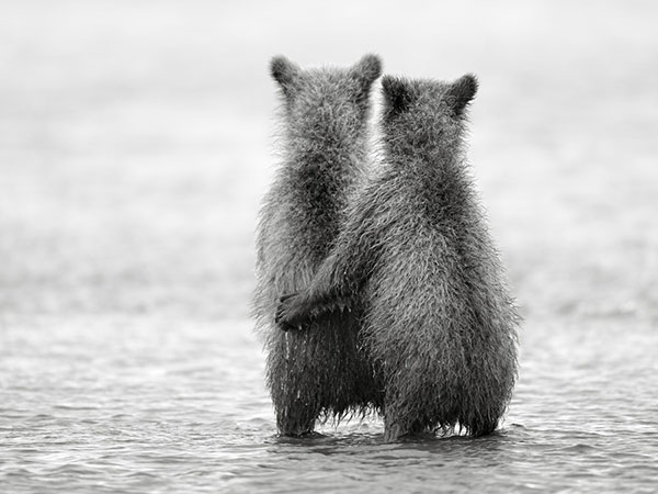 Petits animaux mignons se tenant les uns les autres