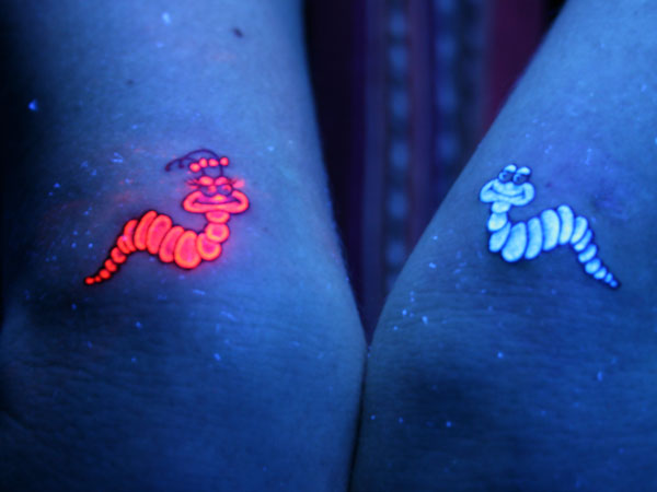 Twin Glow Worms