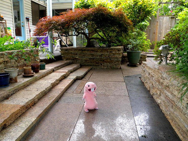 Escaliers de jardin d'arrière-cour