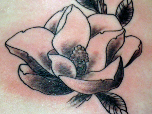 Tatouage de conception noire de magnolia