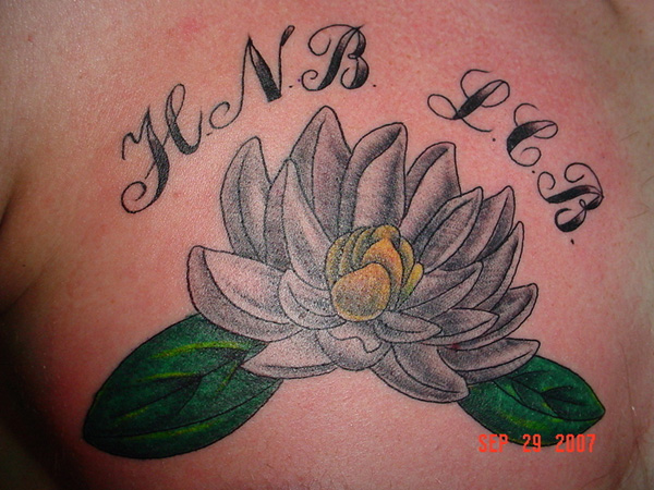 Lotus Magnolia