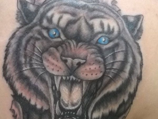 Αποθηκεύστε το Tiger Tattoo