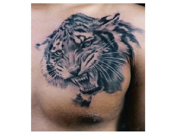 Γκρι Ink Young Tiger Tattoo