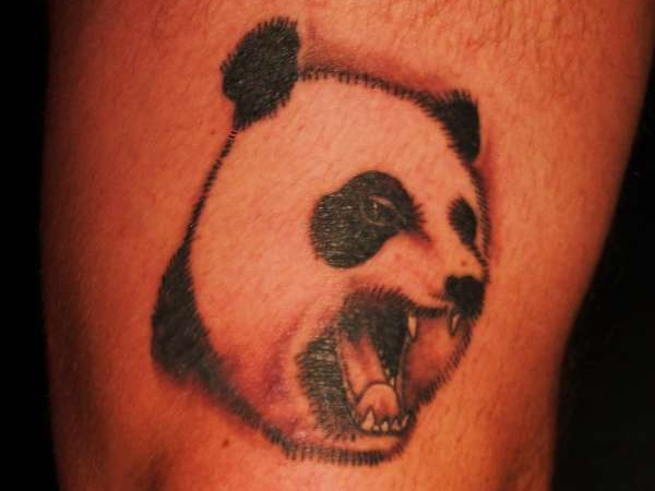 Panda en colère