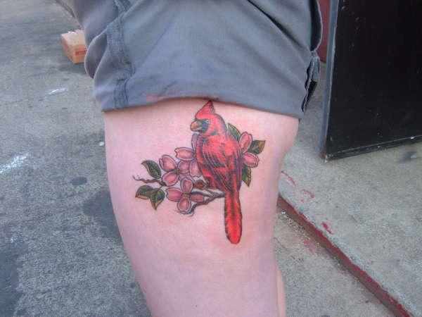 Tatouage d'oiseau rouge