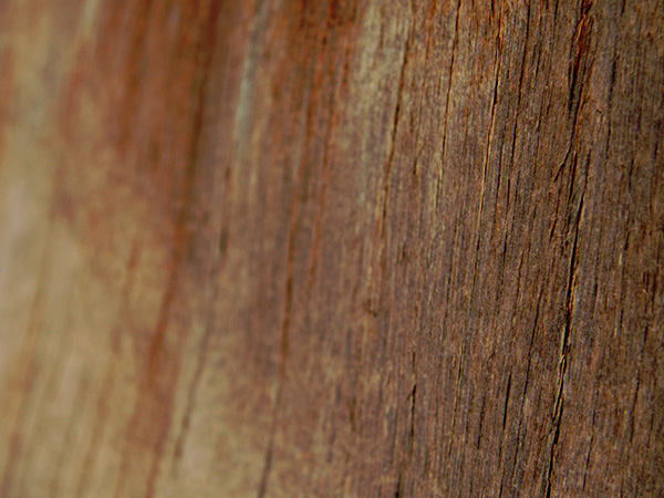 Eco Wood