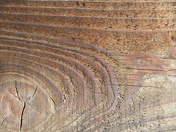 Woodsy Layered
