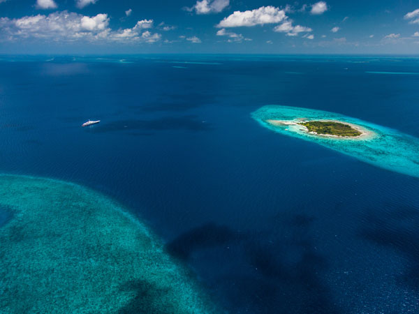 The Blues Of Belize