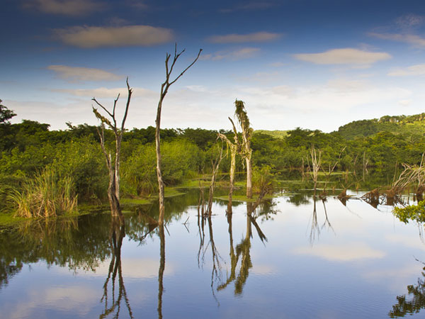 Rivière tranquille du Belize