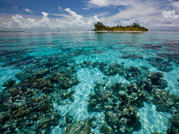 Χορεύοντας Coral Corridor Belize