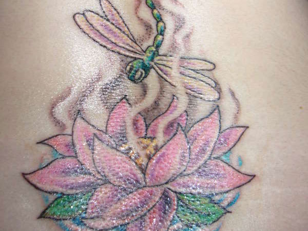 Lotus And Dragonfly