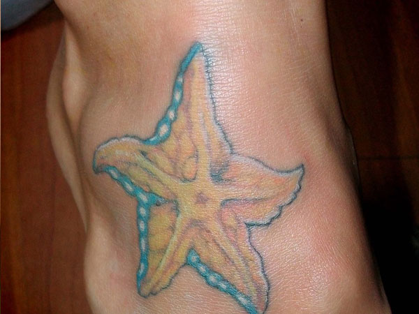 Star Fish